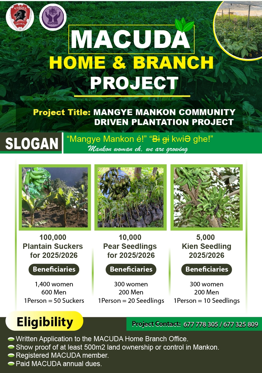 Brand Identity Project