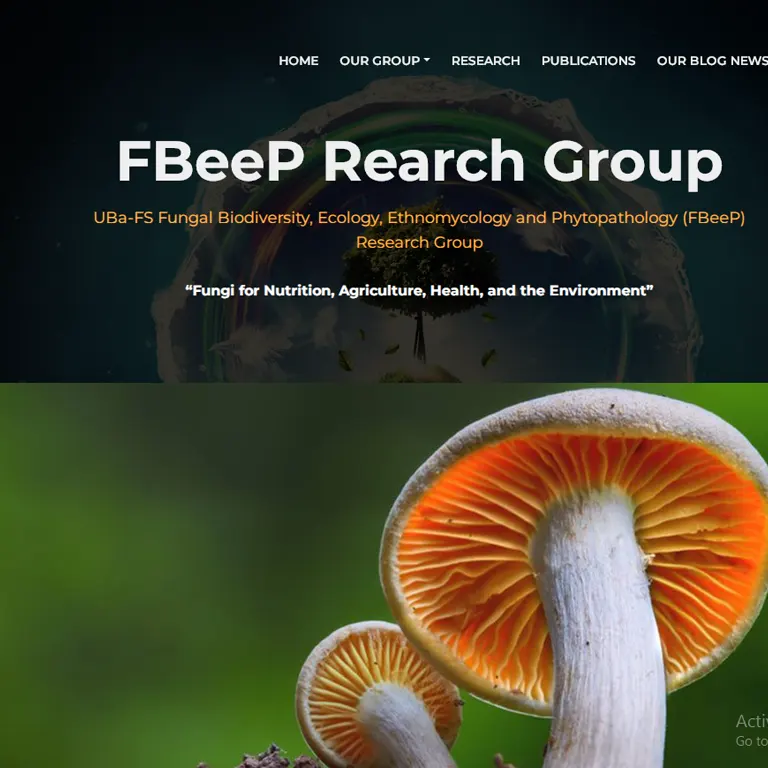 E-Commerce Website Project